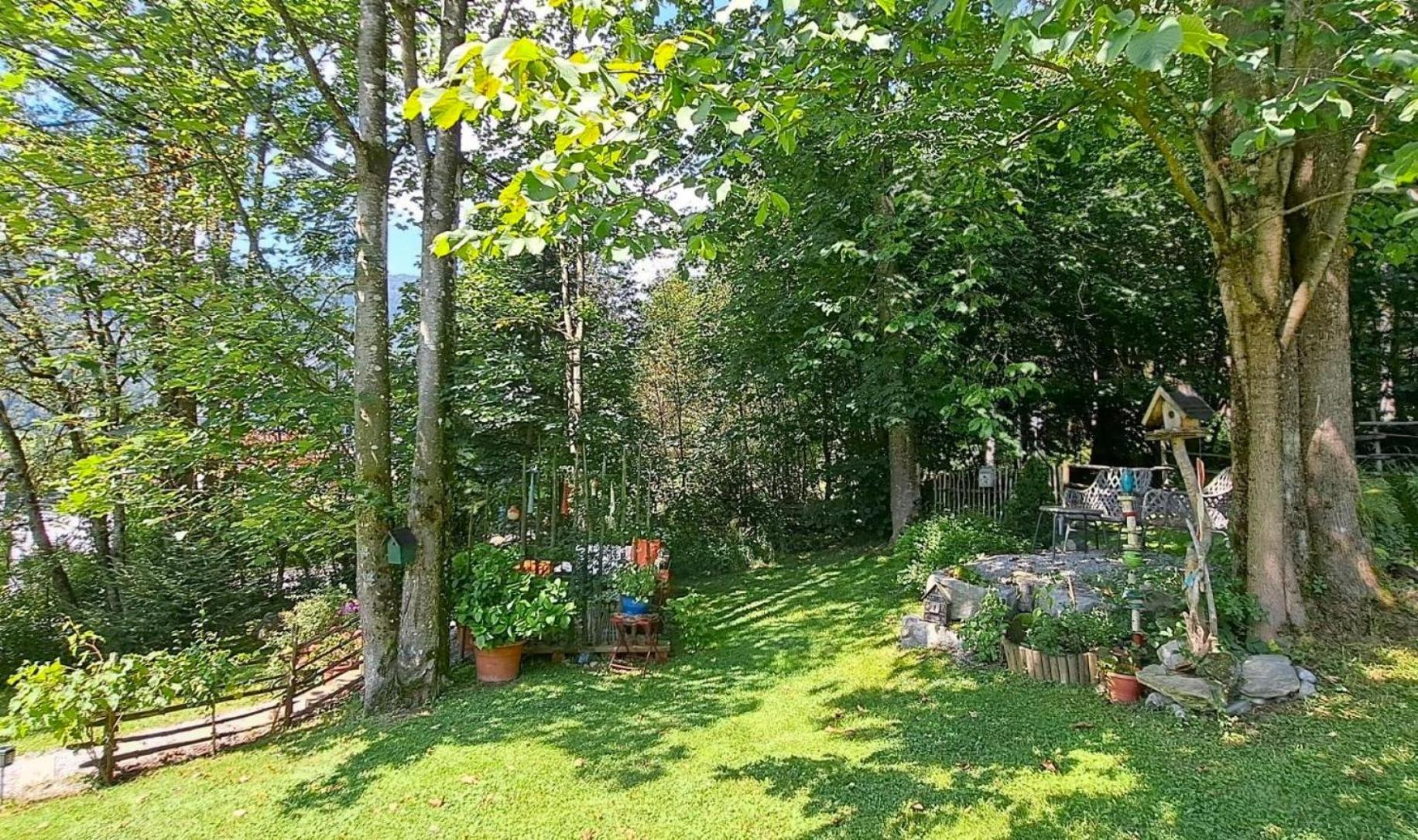 Ferienhaus Lechner Fuer Max 10 Personen - Wald Und Naturgarten Abtenau Ngoại thất bức ảnh